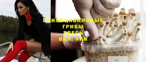 мяу мяу мука Беломорск